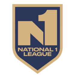 logo_N1